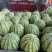 8424西瓜🍉
