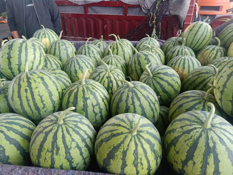 8424西瓜🍉