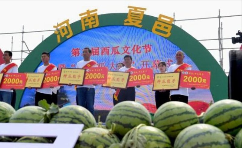 8424西瓜🍉