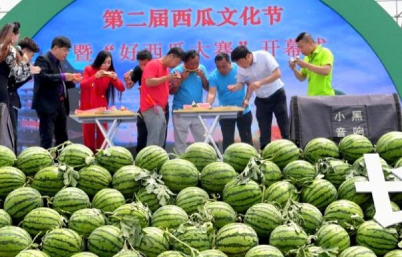 8424西瓜🍉