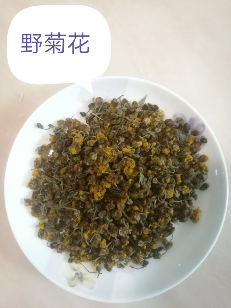 神农架野菊花