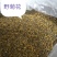 神农架野菊花