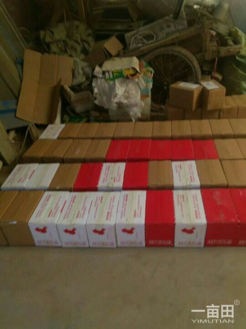 薄皮核桃25mm以下欢迎大家购买