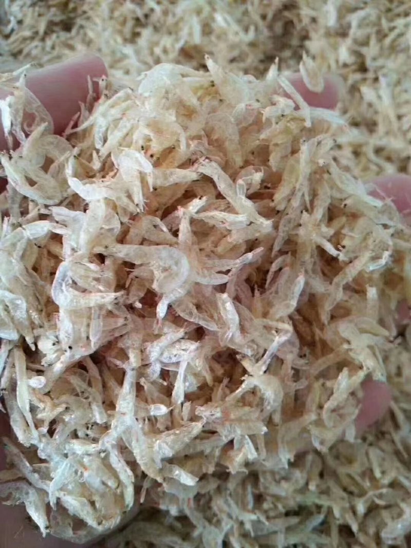 海虾皮