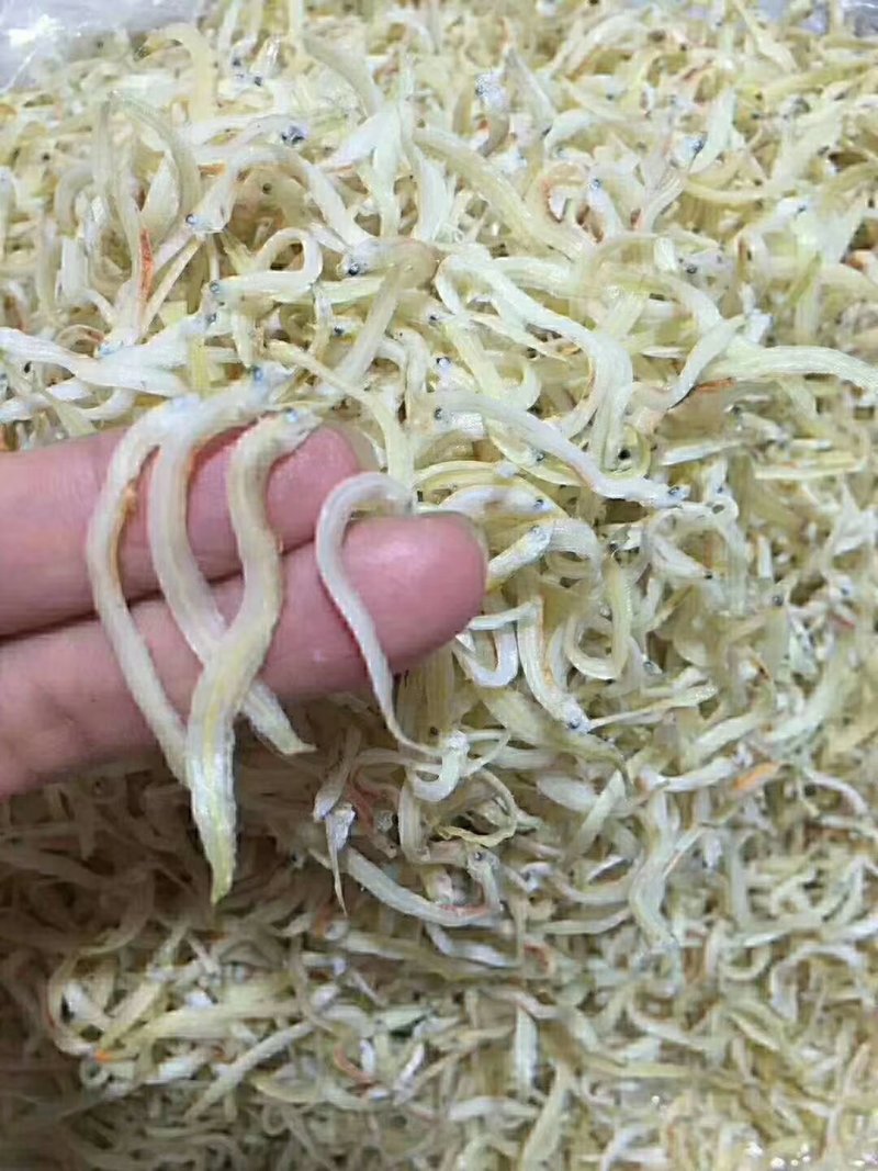 银鱼仔