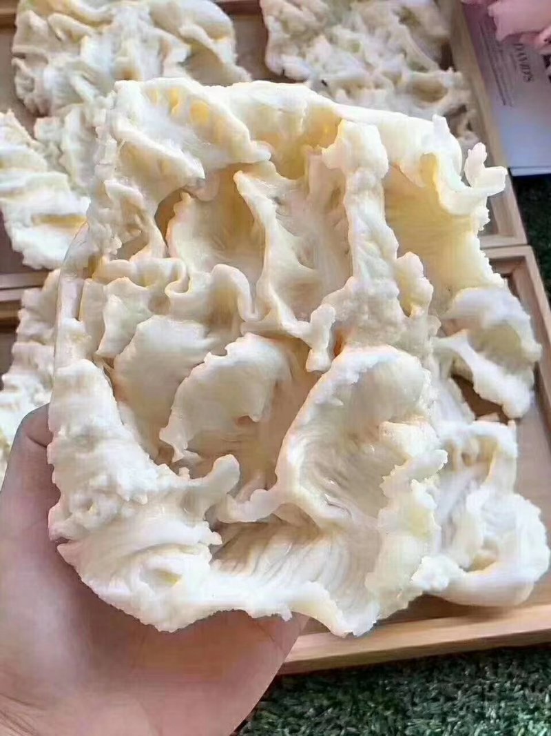 赤鱼胶