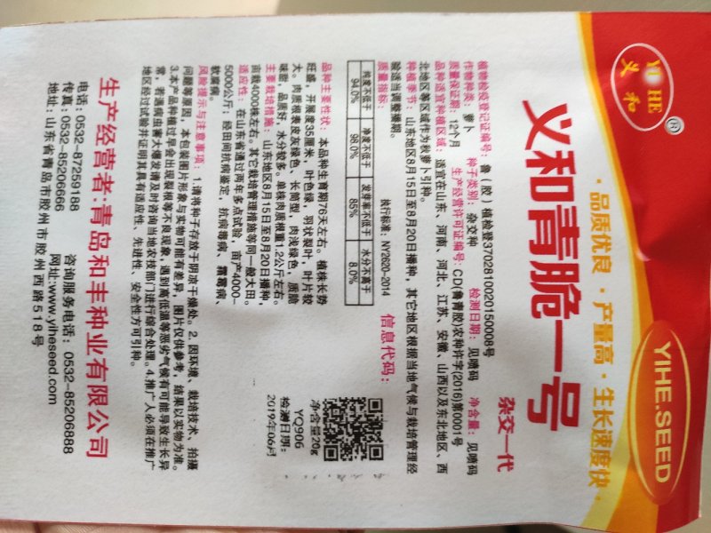 青萝卜种子青脆一号里外青水果萝卜种子