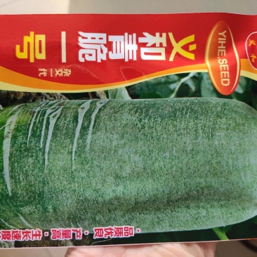 青萝卜种子青脆一号里外青水果萝卜种子