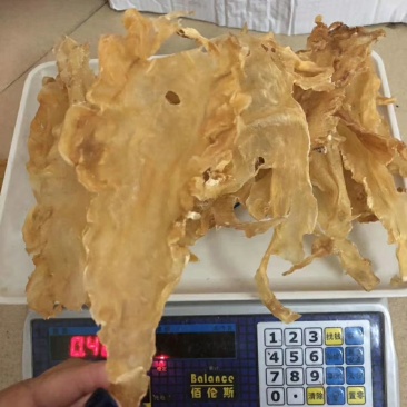 鳕鱼胶