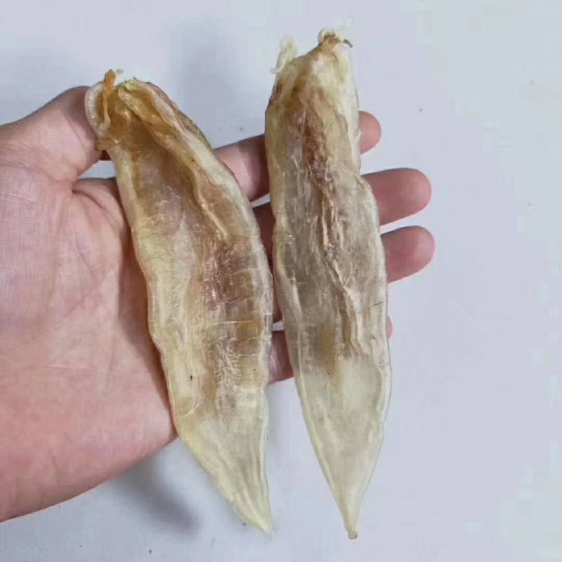 黄花胶