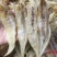 黄花胶