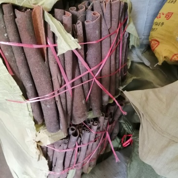 桂通。桂碎