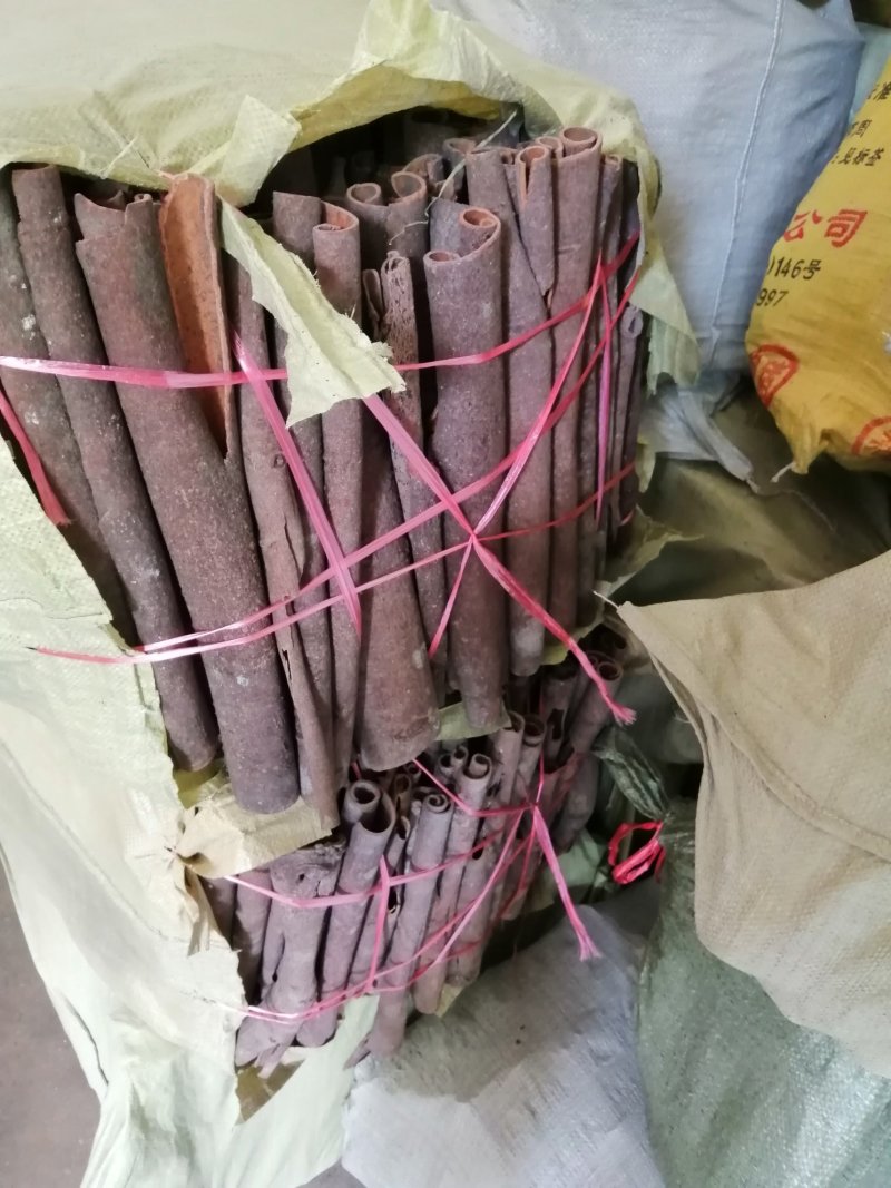 桂通。桂碎