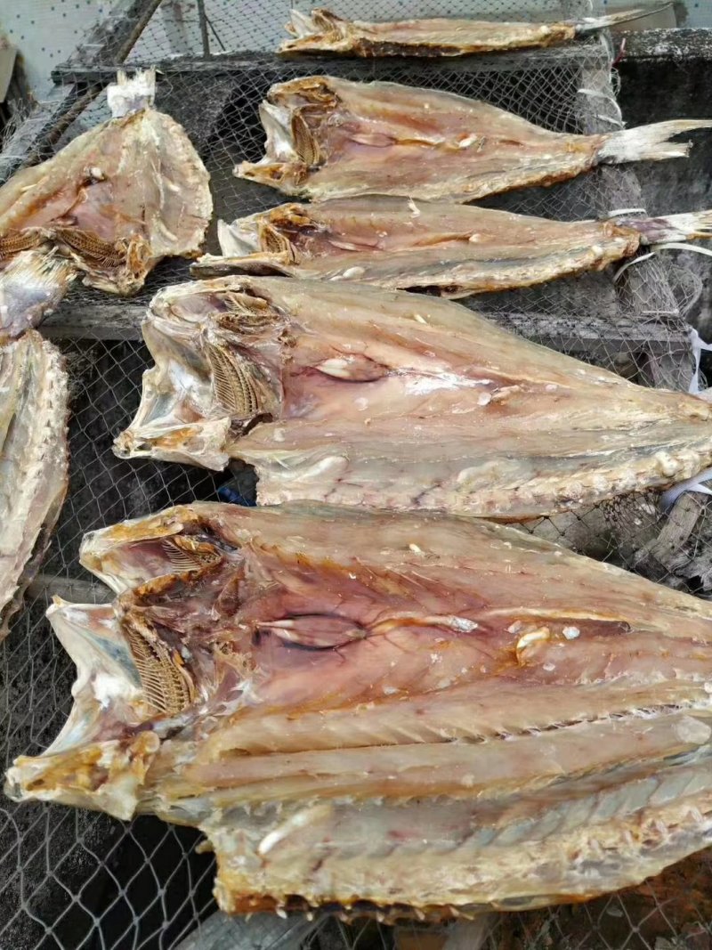 马友鱼