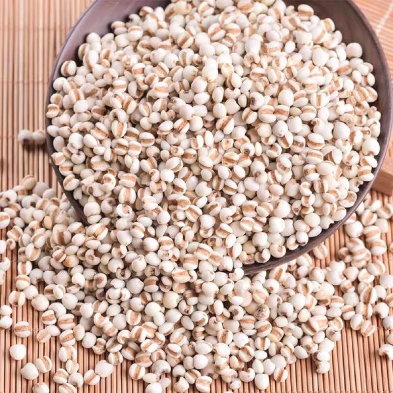 薏米仁药食两用大货批发一手货源