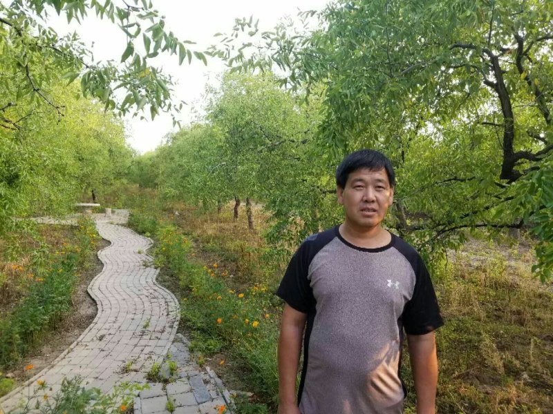 山东鲜枣乐陵鲜枣批发代办产地直销50万亩基地现摘现发