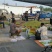 山东鲜枣早脆王鲜枣基地专业代办50万亩基地现摘现发