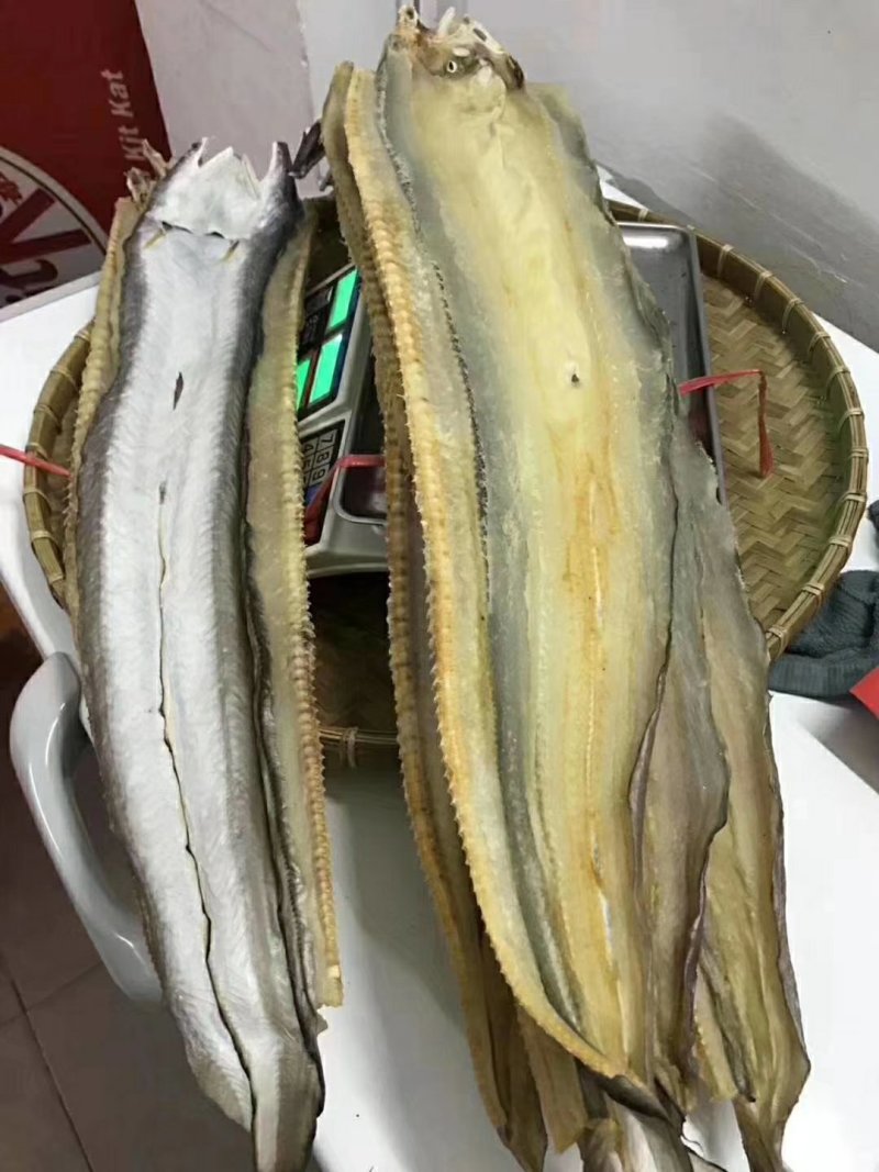 鳗鱼干