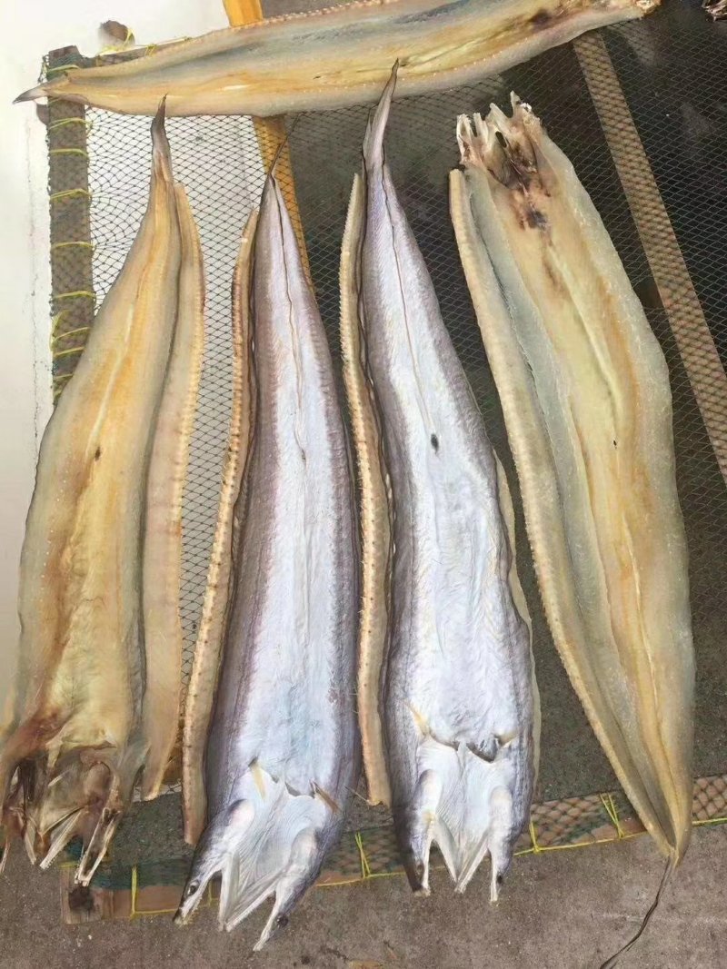 鳗鱼干