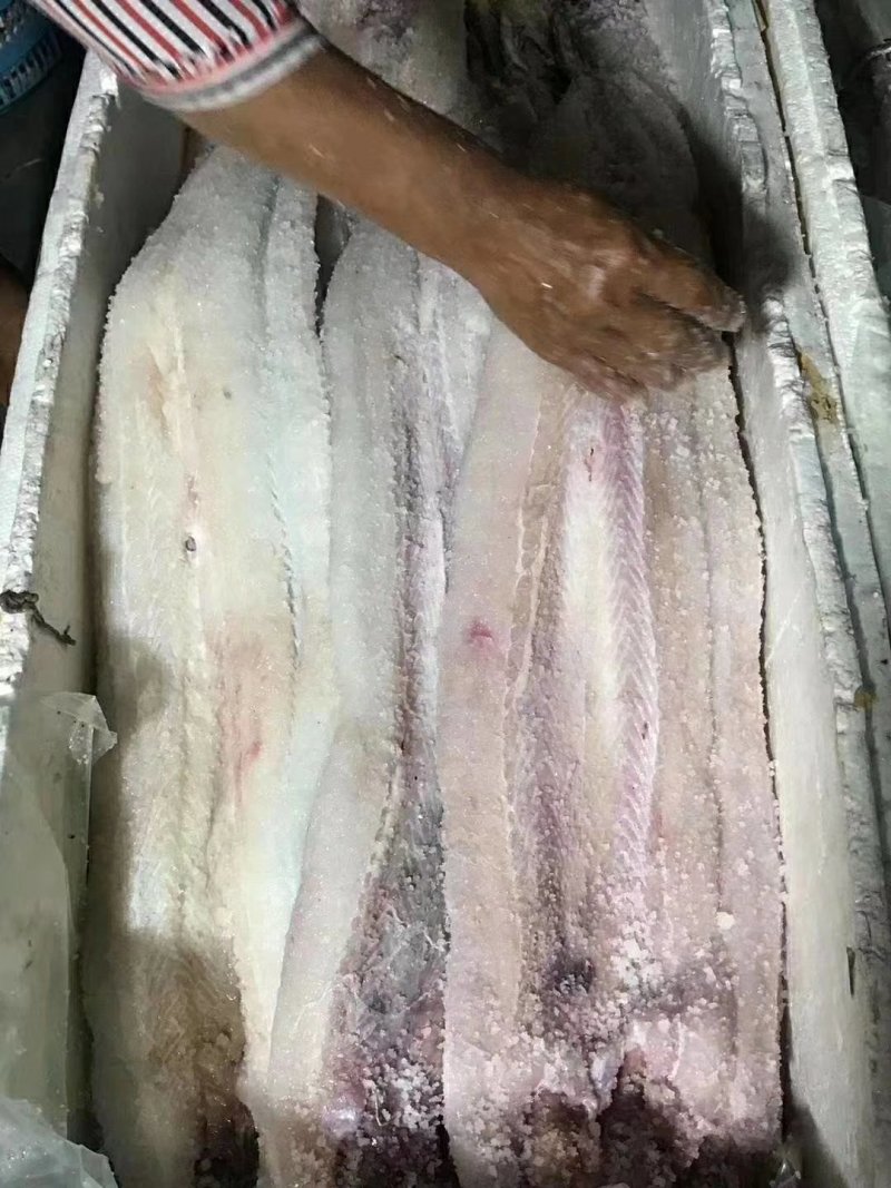 鳗鱼干