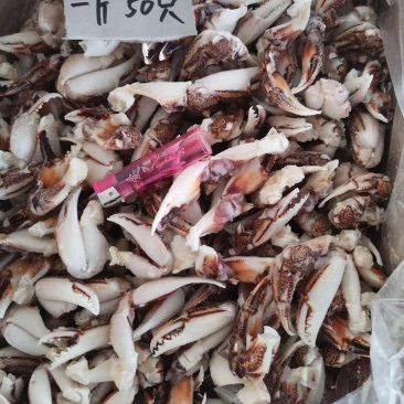 梭子蟹
