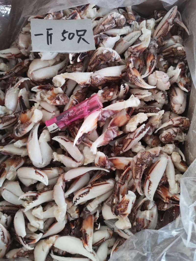 梭子蟹