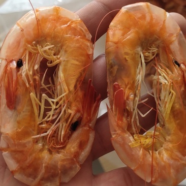 渤海湾精品烘干对虾，各种规格，品种齐全，常年供应，全国发货