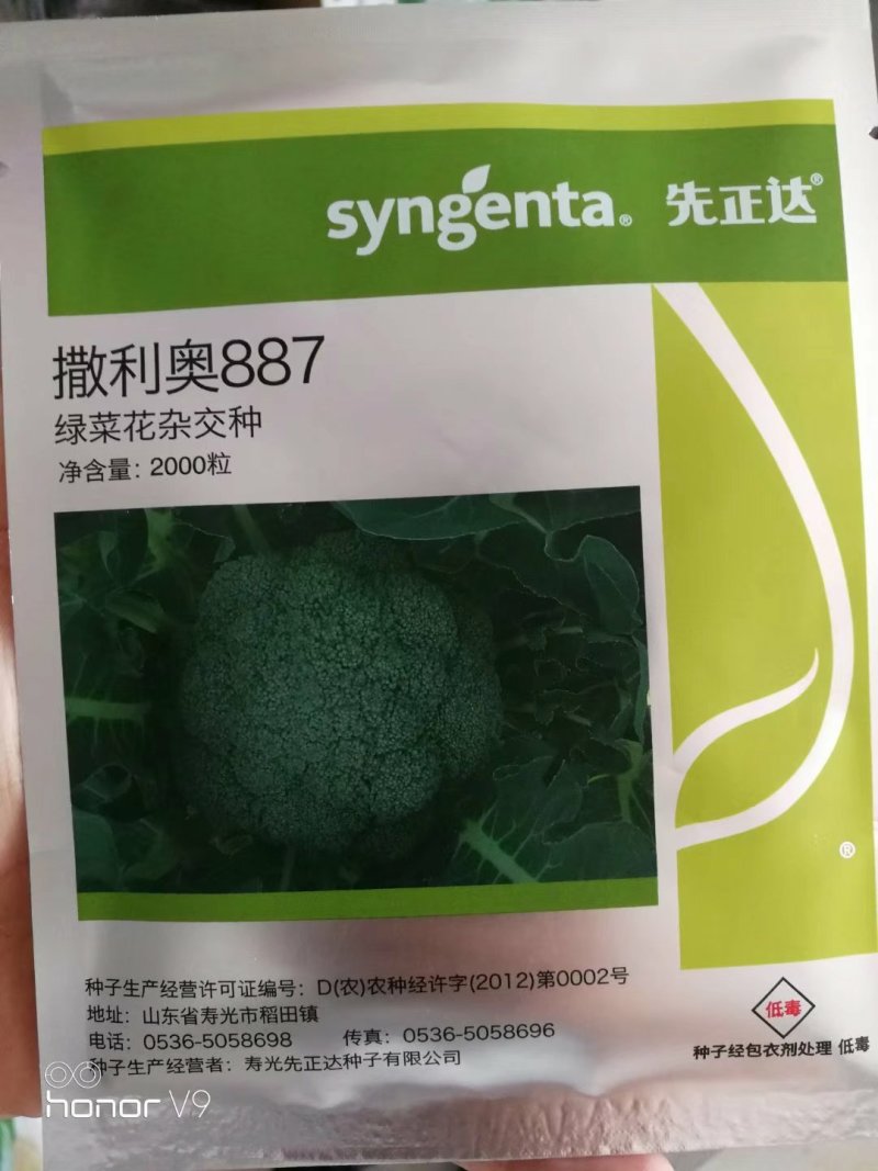 先正达撒利奥887，新一代杂交西兰花种子
