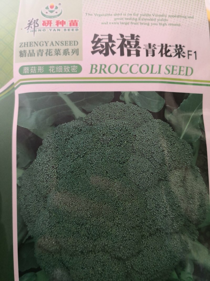 郑研绿禧西兰花种子1000粒