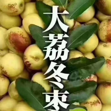 大荔冬枣