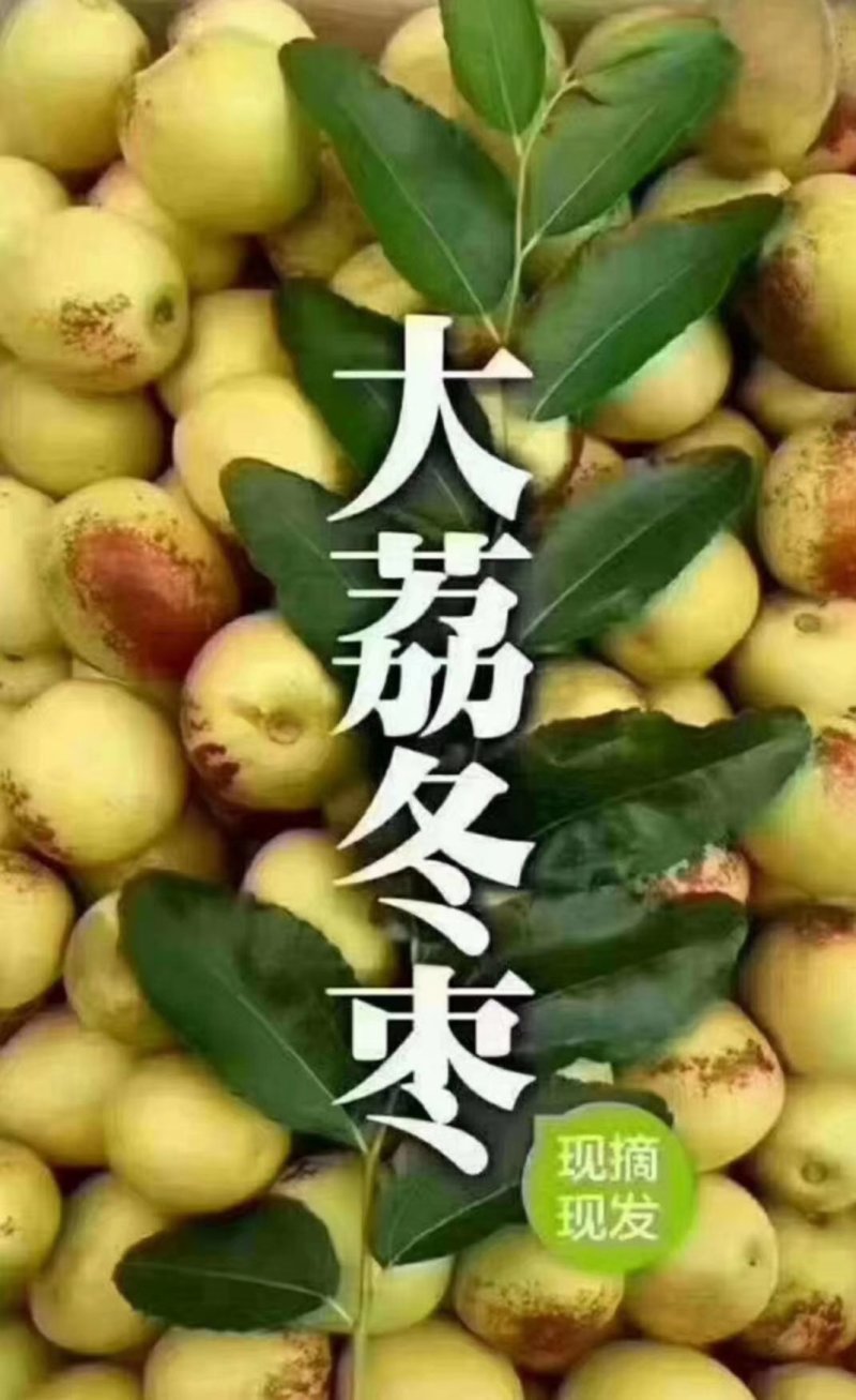 大荔冬枣