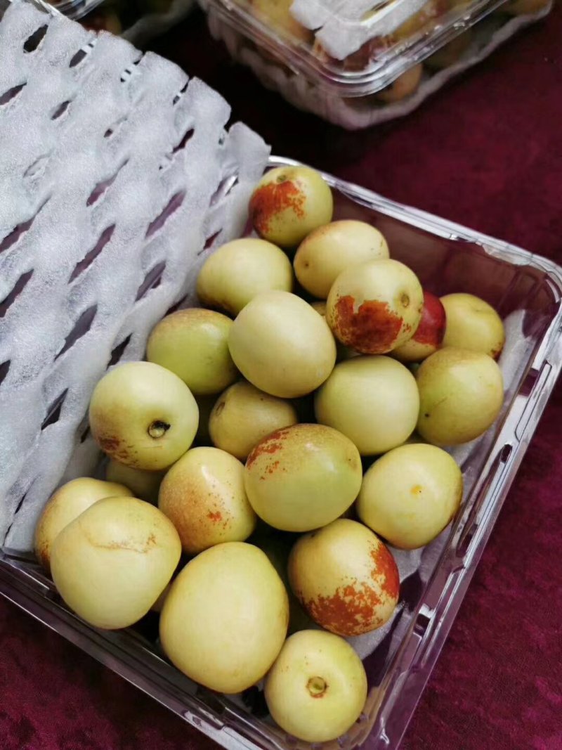 大荔冬枣