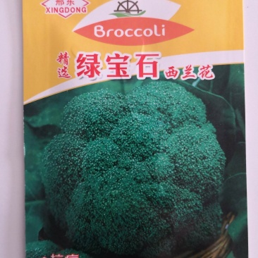 耐低温，抗病，绿宝石西兰花种子