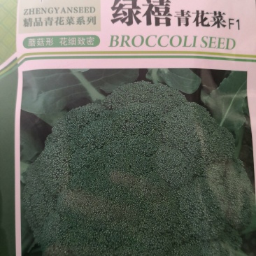 西兰花种子