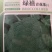 西兰花种子