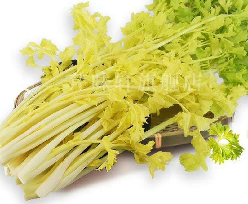 芹菜