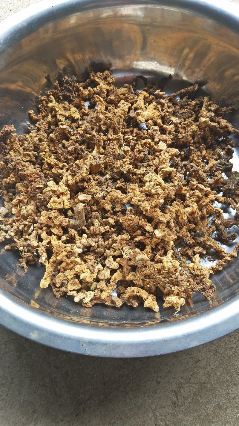 黄精甜黄精，识货才知道好不