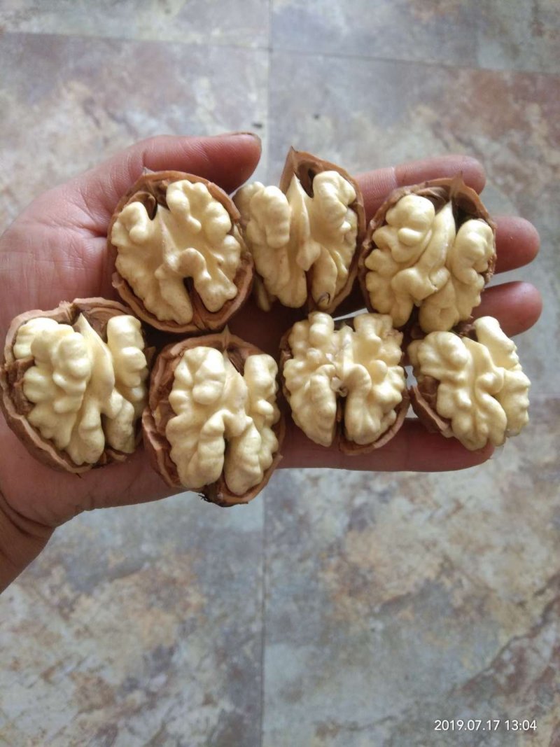 盐源早鲜核桃