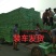 丰水梨大量上市，秋月梨，绿宝石梨，黄冠梨，万亩梨园。