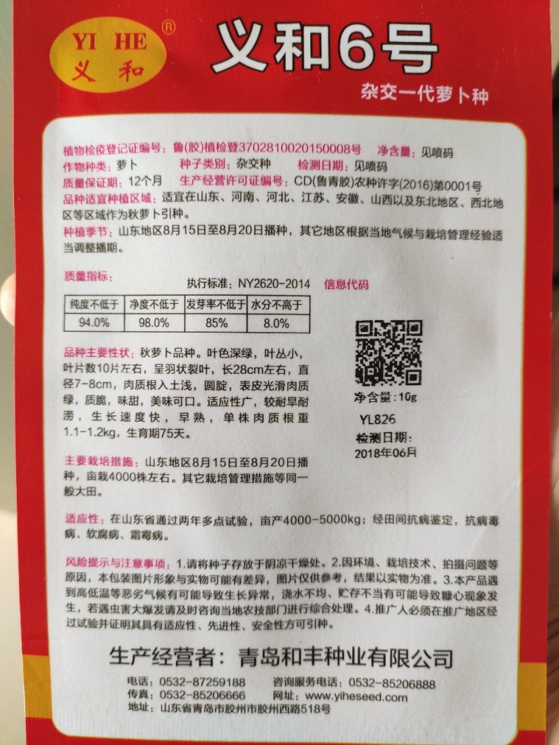 萝卜种子青萝卜里外青脆甜水果萝卜