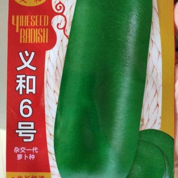 萝卜种子青萝卜里外青脆甜水果萝卜