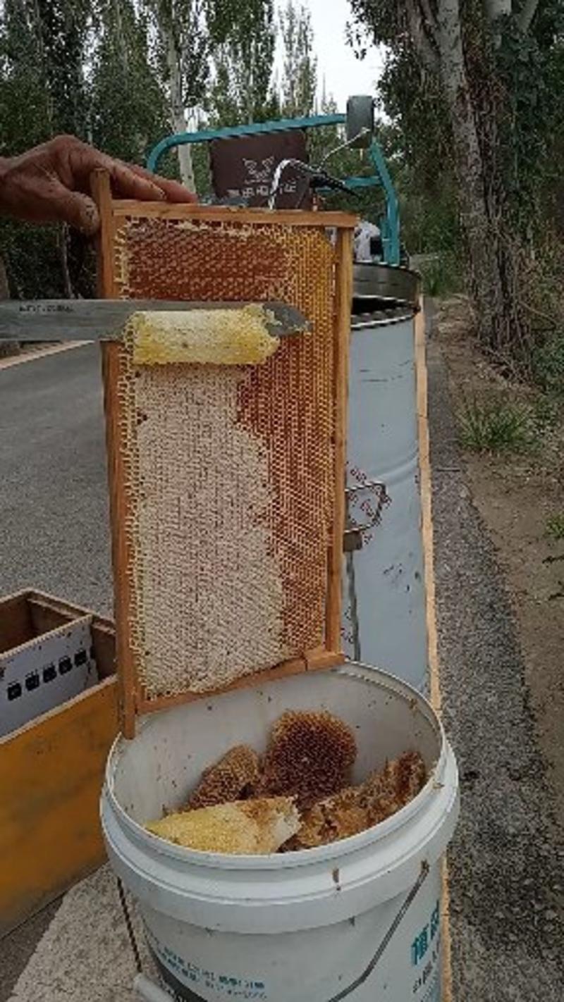 自家蜂场枣花蜜，蜜纯，品质好原生态无加工，全国包邮。