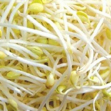 豆牙