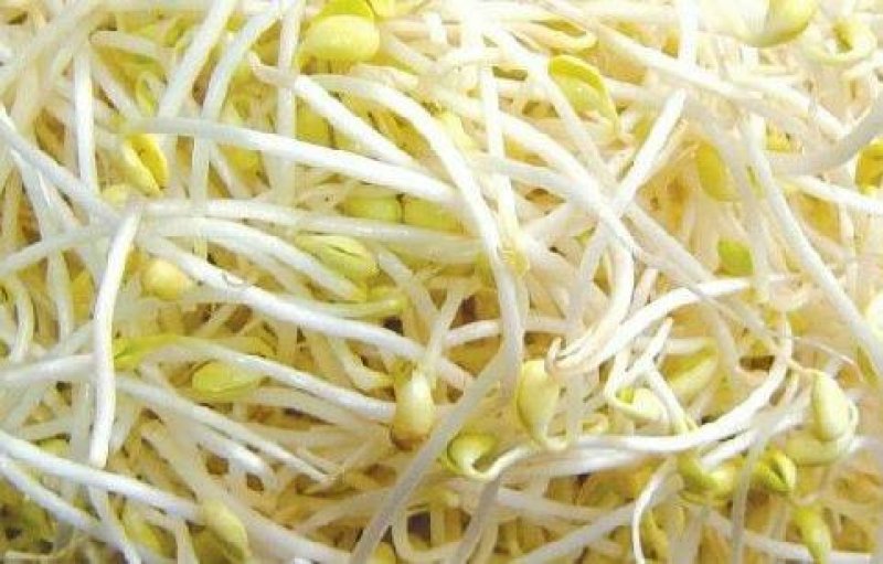 豆牙