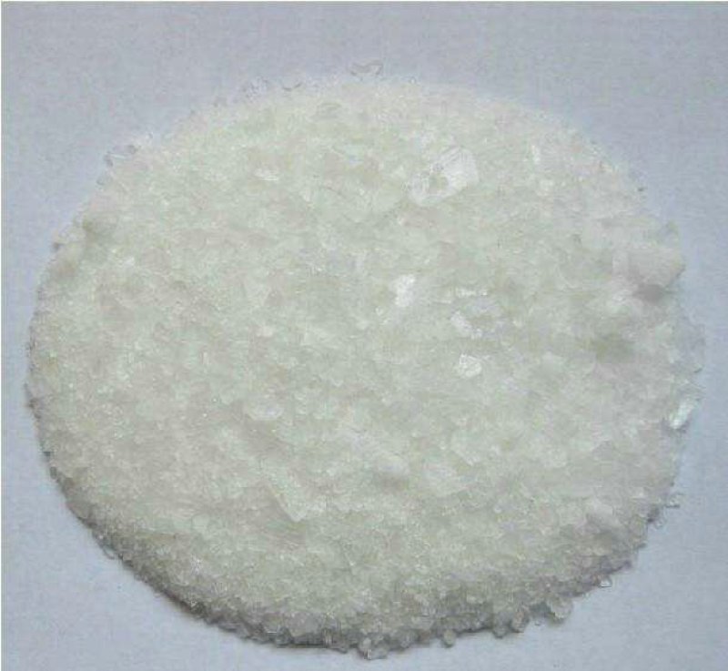 冰片专注品质500克开窍醒脑