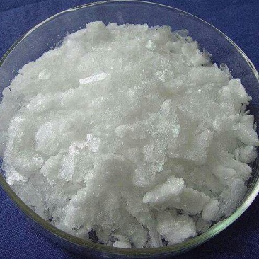 冰片专注品质500克开窍醒脑