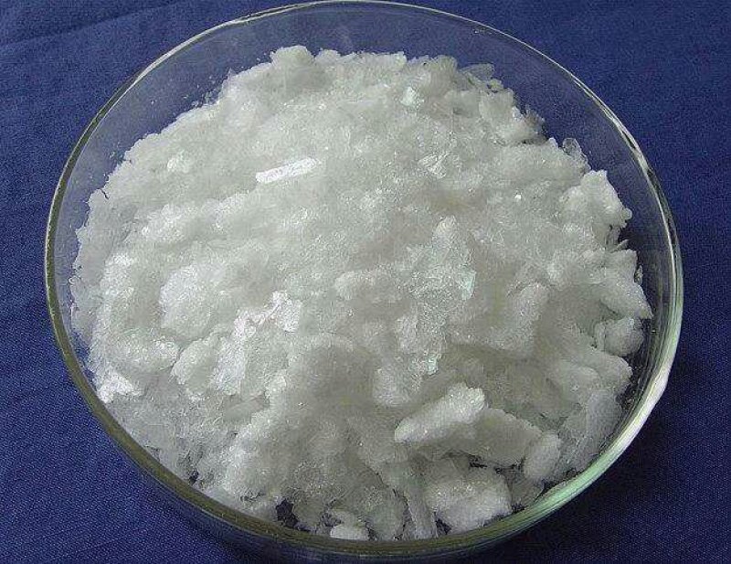 冰片专注品质500克开窍醒脑