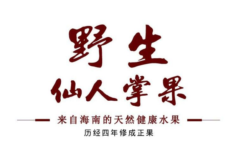 仙人掌果