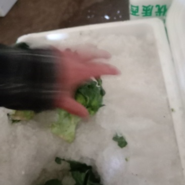 蔬菜