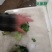 蔬菜